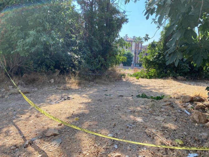 Antalya’da 20 köpeğin zehirlendiği ihbarı