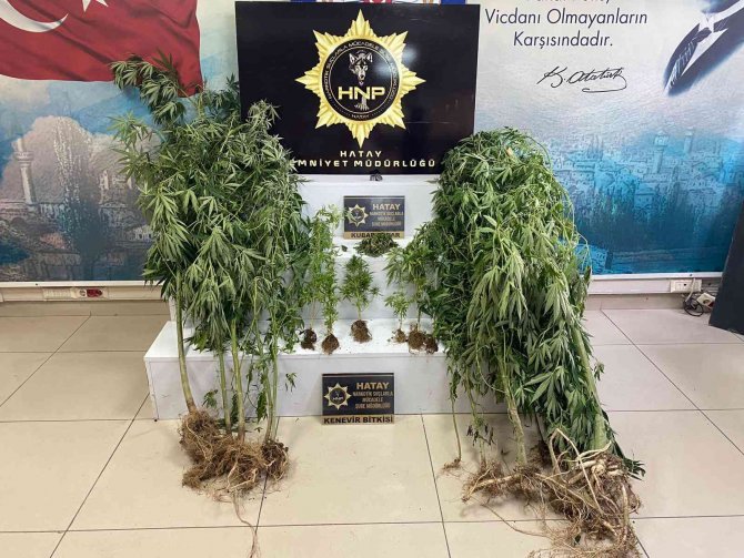 Hatay’da uyuşturucu operasyonu