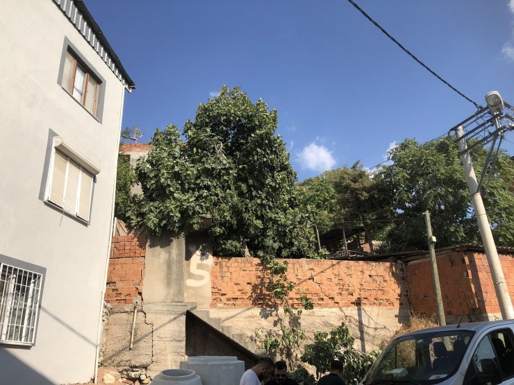 İncir ağacından düşen kadın öldü