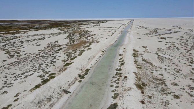 Tuz Gölü’ne taşınan sular flamingo ölümlerini önledi