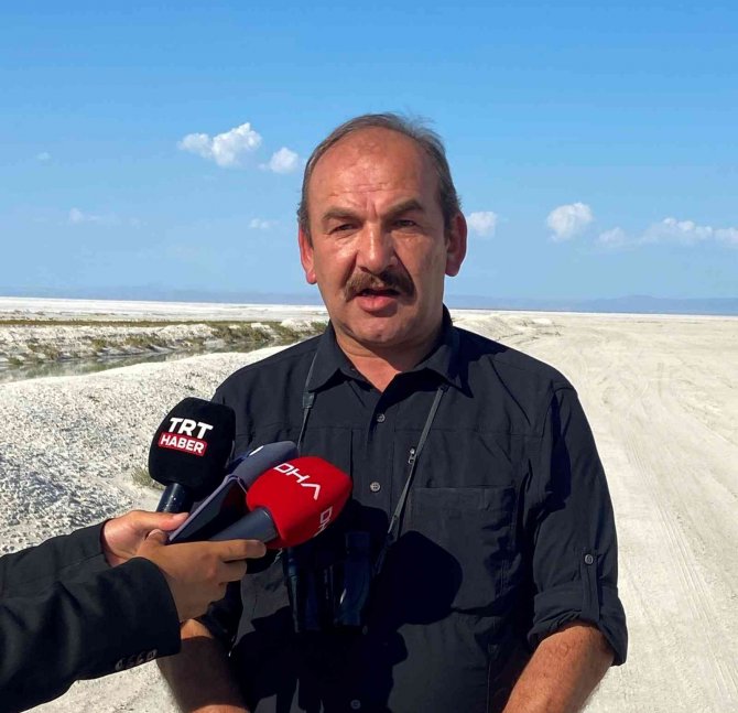 Tuz Gölü’ne taşınan sular flamingo ölümlerini önledi