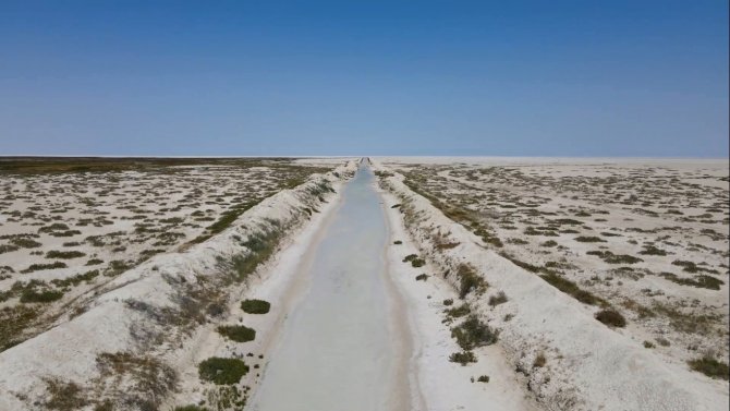 Tuz Gölü’ne taşınan sular flamingo ölümlerini önledi