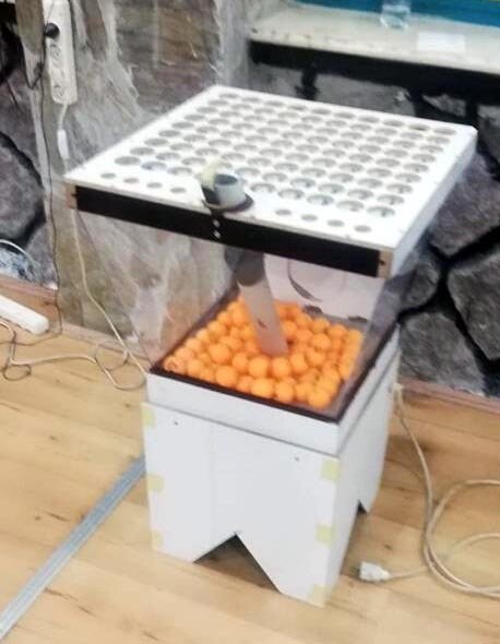 İzmir'de kumar baskını; 41 kişiye 74 bin TL ceza