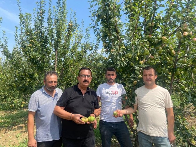 Sağanak yağış tarım ürünlerinde 30 milyon lira zarara yol açtı