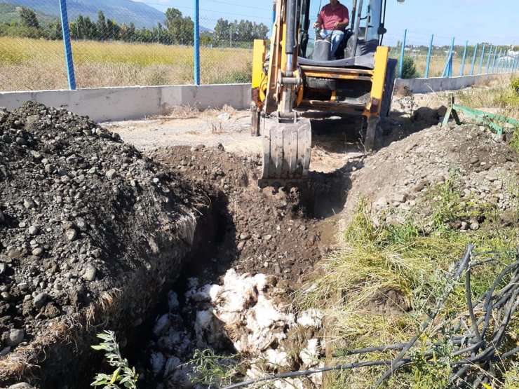 Çiftlikteki 2 bin 450 tavuk öldü