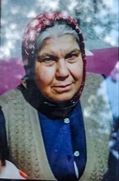 Vanayı açmak için bahçeye çıkan kadın, 2 gündür kayıp