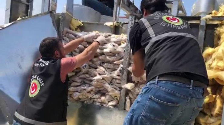 Gümrük Muhafaza ekipleri tarihi bir uyuşturucu operasyonuna imza attı