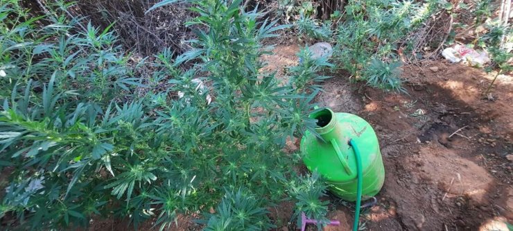 İzmir'de uyuşturucu operasyonlarında 6 kişi tutuklandı