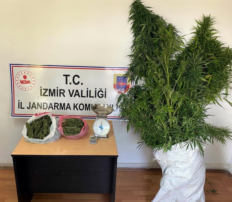 İzmir'de uyuşturucu operasyonlarında 6 kişi tutuklandı