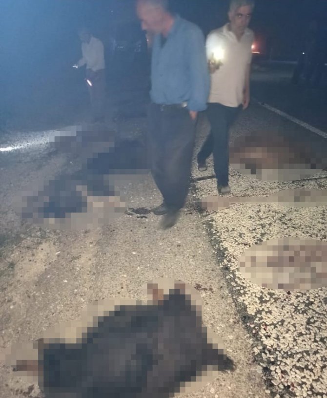 Minibüs sürüye çarptı: 40 koyun telef oldu