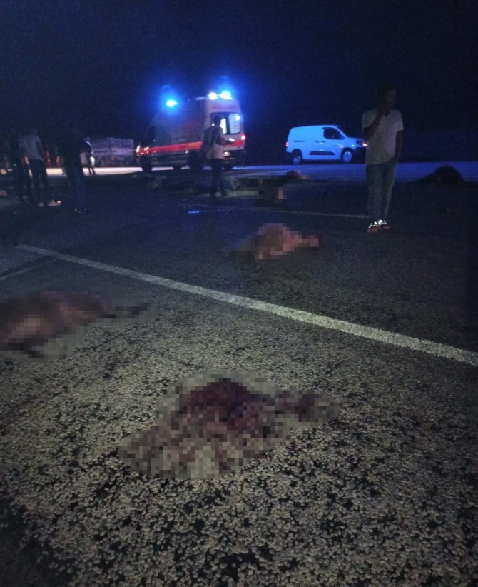 Minibüs sürüye çarptı: 40 koyun telef oldu