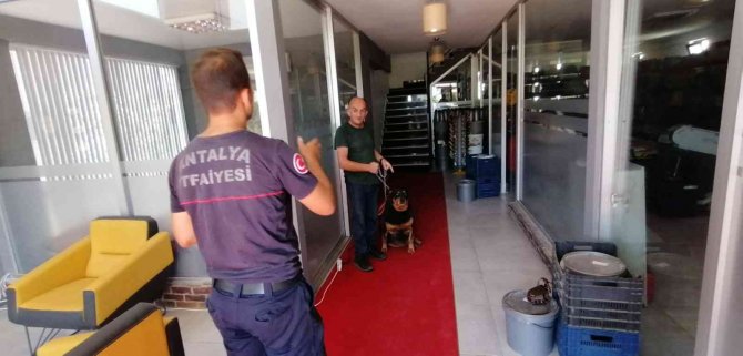 Antalya’da itfaiyeden bodrumda yaşayan ’Şişman köpek’ operasyonu