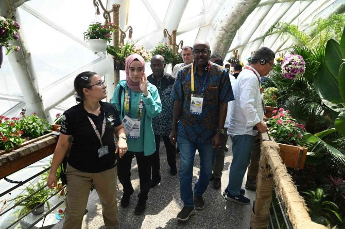 Konya Tropikal Kelebek Bahçesi'ne yoğun ilgi