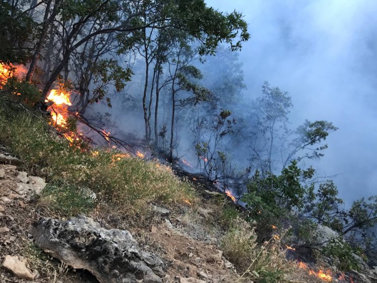 Ormanda örtü yangını söndürüldü