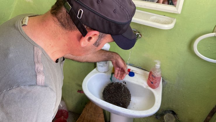 Alevlerin arasında kalan kirpi, kurtarıldı