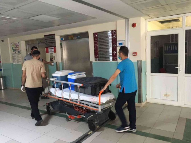 Bağışlanan organlarıyla 3 hastaya umut oldu