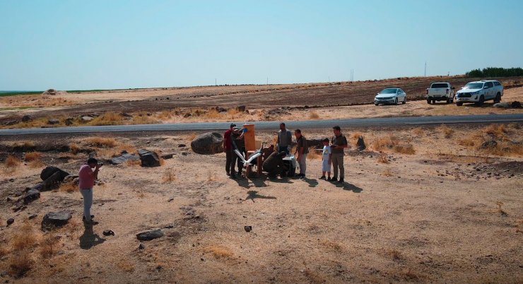 Elektrik akımına kapılarak ölen leyleğin yavrularına tedavi