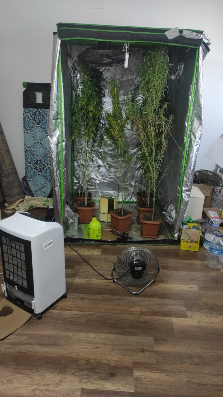 Evine kurduğu iklimlendirme sistemiyle Hint keneviri yetiştiriyormuş