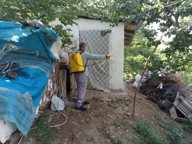 Haşereyle mücadele çalışmaları sürüyor