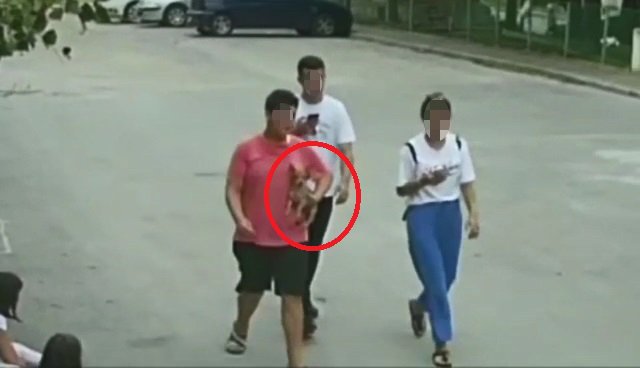 'Lucy'yi önce sevdiler, sonra götürdüler; o anlar kamerada