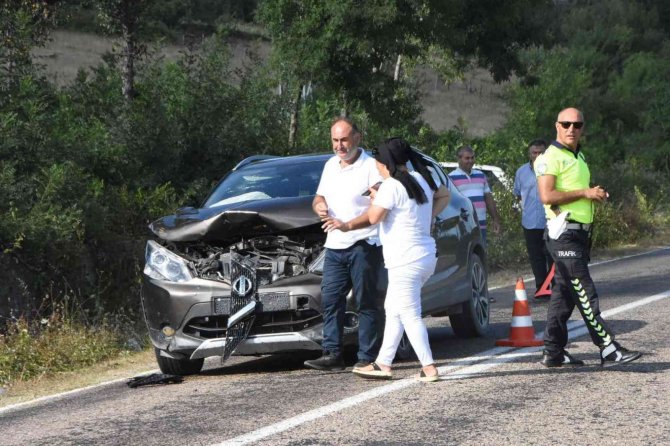 Sinop’ta aracın çarptığı büyükbaş hayvan telef oldu
