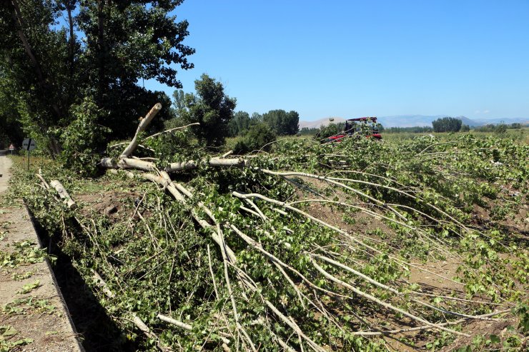 Tokat'ta kuvvetli rüzgar ekili arazilerde zarara yol açtı