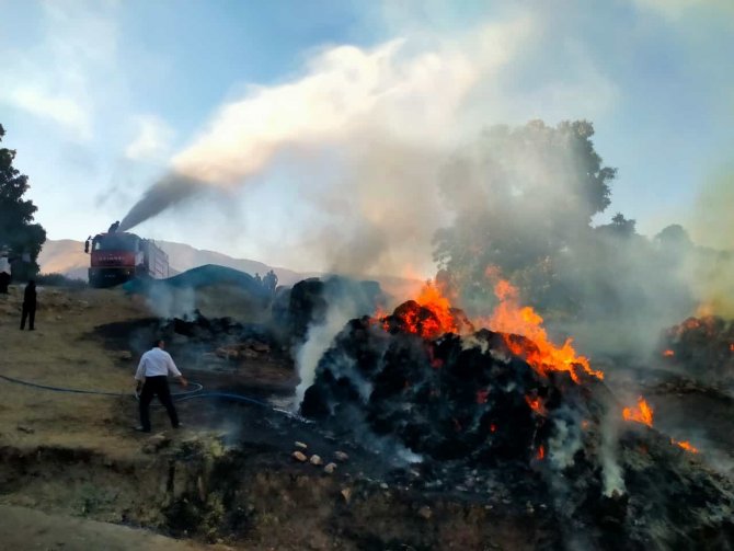 Çatak’ta tonlarca saman ve ot yandı
