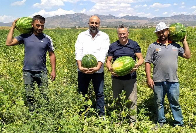 Konya'da üretiliyor, Avrupa'ya ihraç ediliyor
