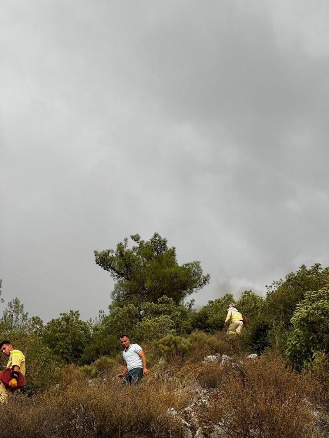 Ormanlık alana düşen yıldırım yangın çıkardı
