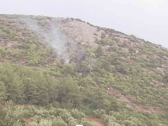 Ormanlık alana düşen yıldırım yangın çıkardı
