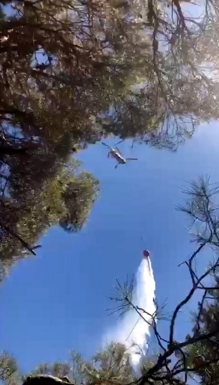 Antalya'da çıkan orman yangını, 2 saatte kontrol altına alındı