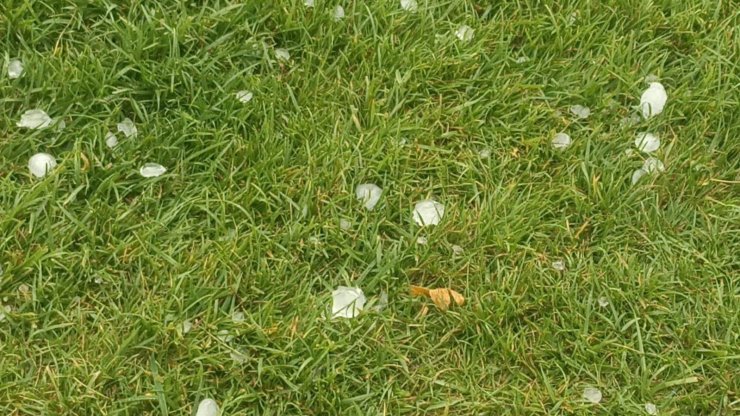 Bilecik’te dolu ve sağanak yağış etkili oldu