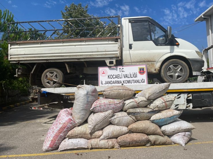 Fındık bahçesinde 3 çocuk, hırsızlık yaparken yakalandı