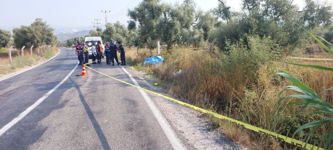 Akşam eve dönmedi, yol kenarında ölü bulundu