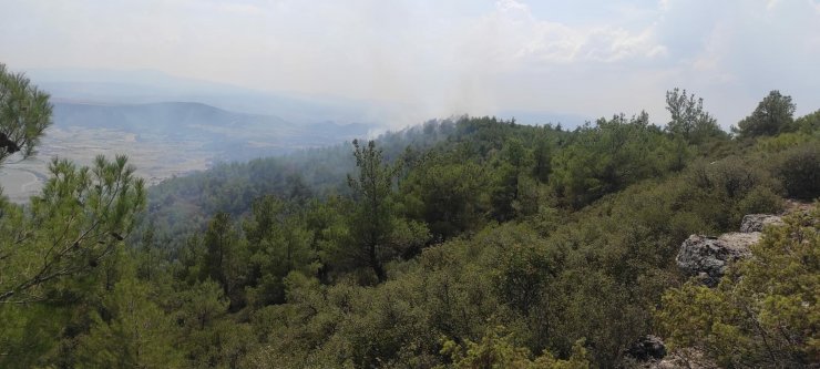 Manisa'da 10 dönüm orman yandı