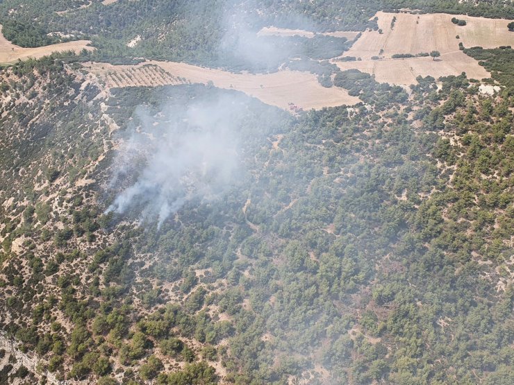 Manisa'da 10 dönüm orman yandı