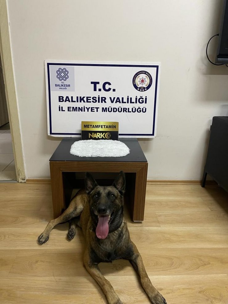 Otomobilde gizlenmiş uyuşturucuyu narkotik köpeği buldu