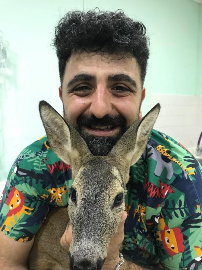 Parçalanan arka bacağı kesilerek hayatı kurtarıldı