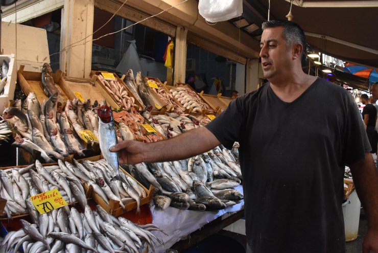 Av yasağı kalktı, tezgahta fiyatlar yarı yarıya düştü