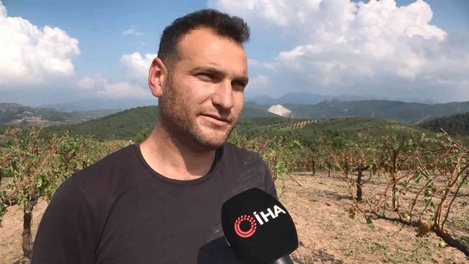 Sağanak yağışla birlikte gelen dolu, çiftçinin mahsulünü vurdu