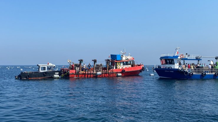 Yalova’daki midye çiftliklerinde hasat başladı