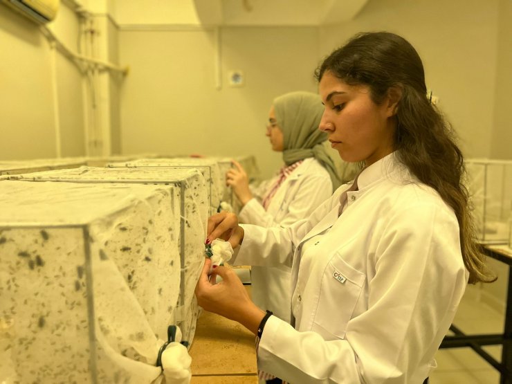 Yunanistan'da can aldı Türkiye için uyarı geldi