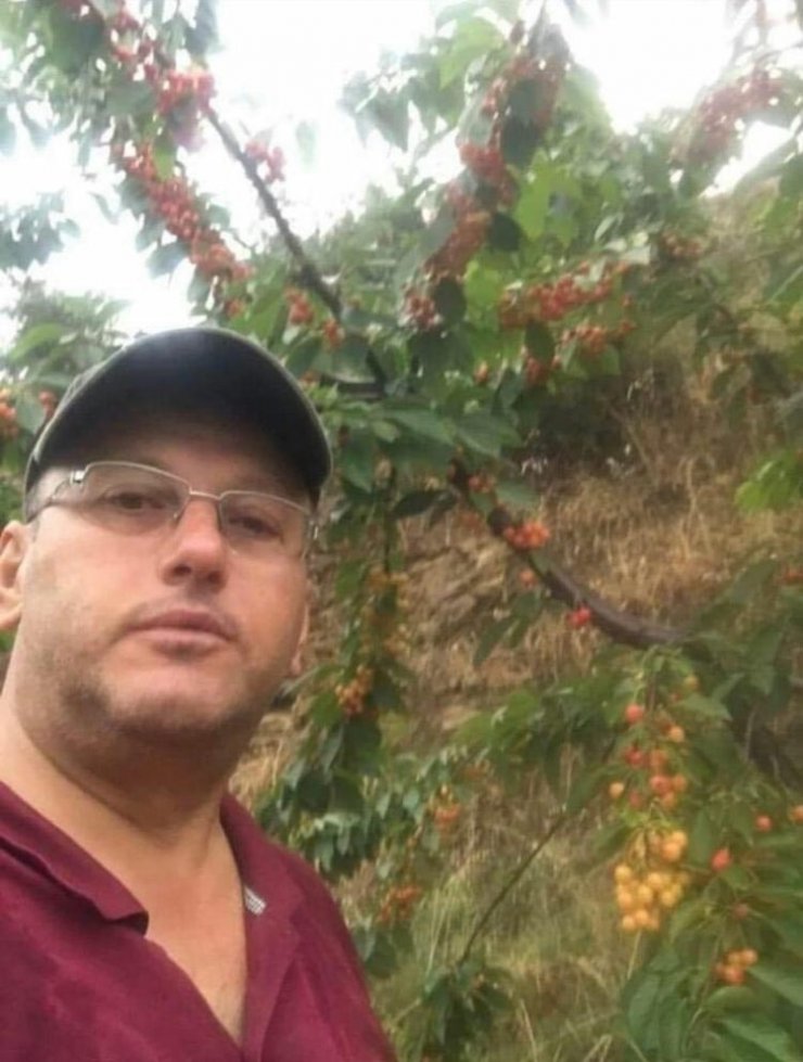 Satın aldığı dananın saldırısına uğrayıp, öldü