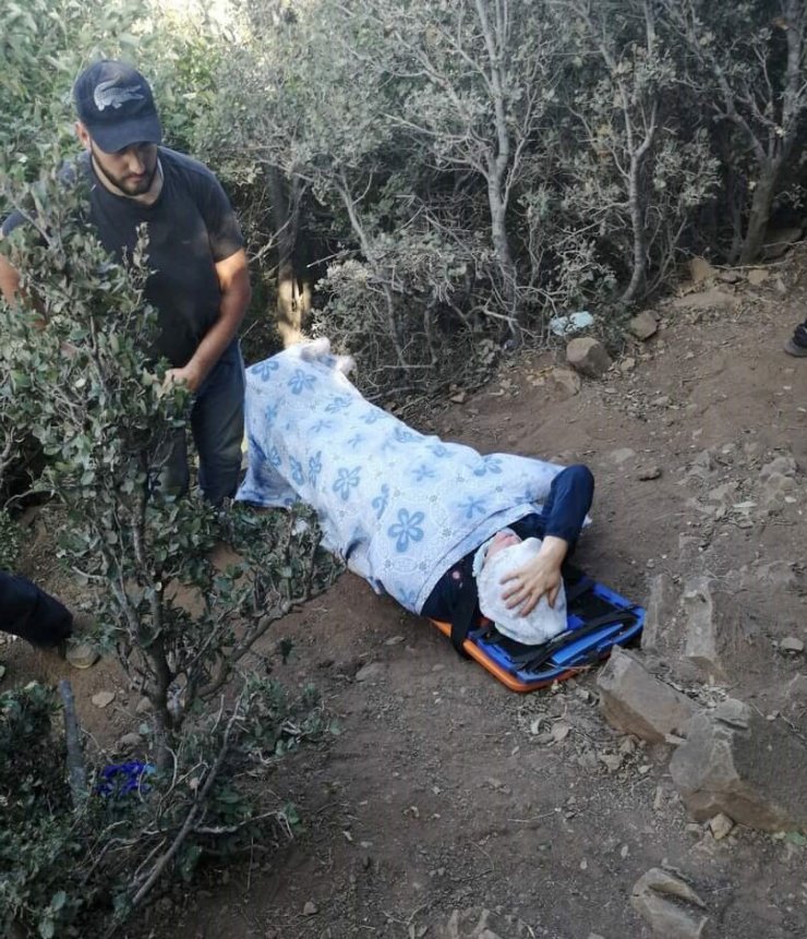 Ağaçtan düşüp ayağı kırılan kadına AFAD kurtardı