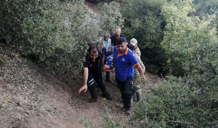 Ağaçtan düşüp ayağı kırılan kadına AFAD kurtardı