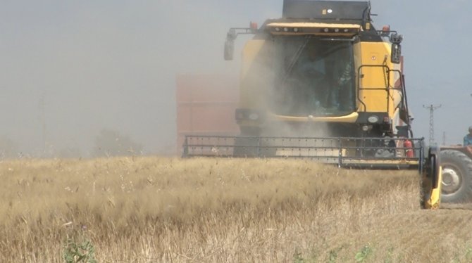 Tahıl ambarı Konya Ovası’nda beklenen rekolte artışı çıktı