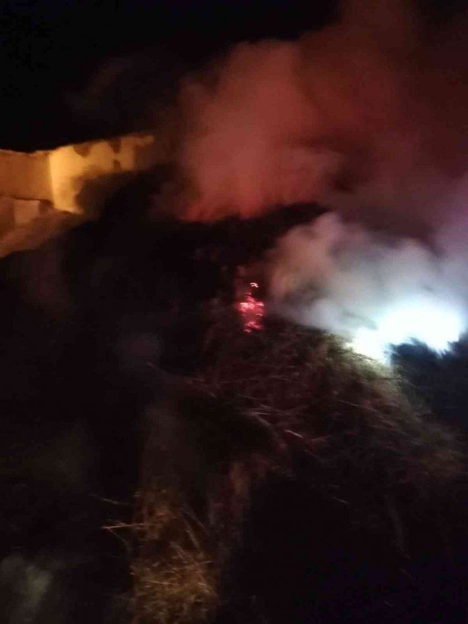 Van’da 150 balya ot yandı