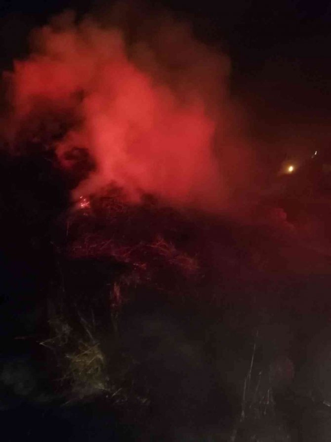 Van’da 150 balya ot yandı