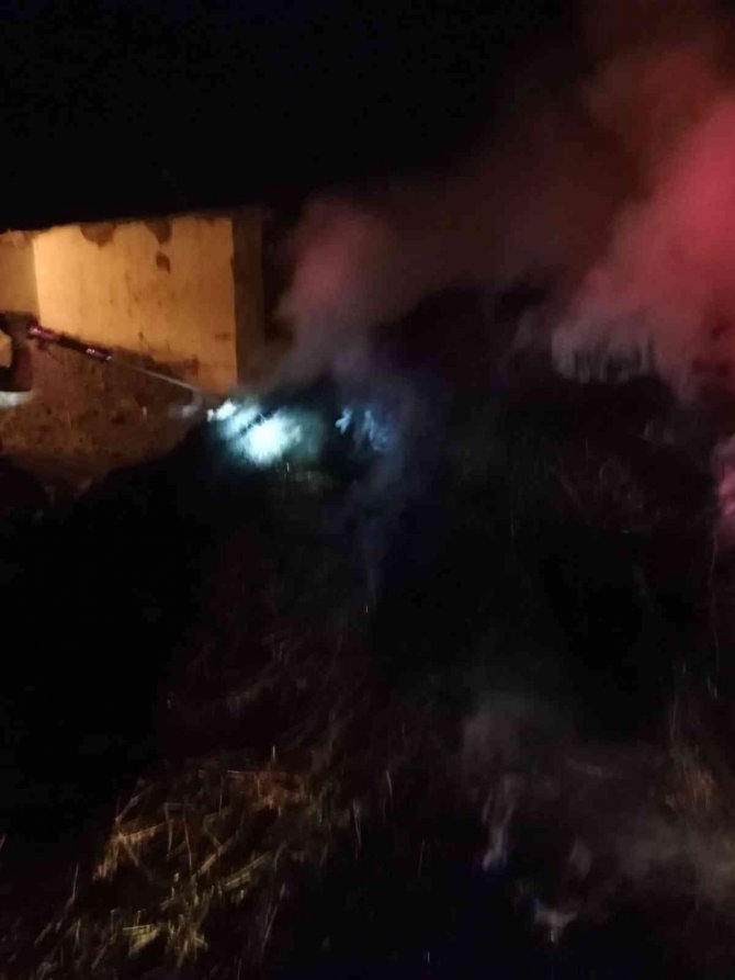 Van’da 150 balya ot yandı