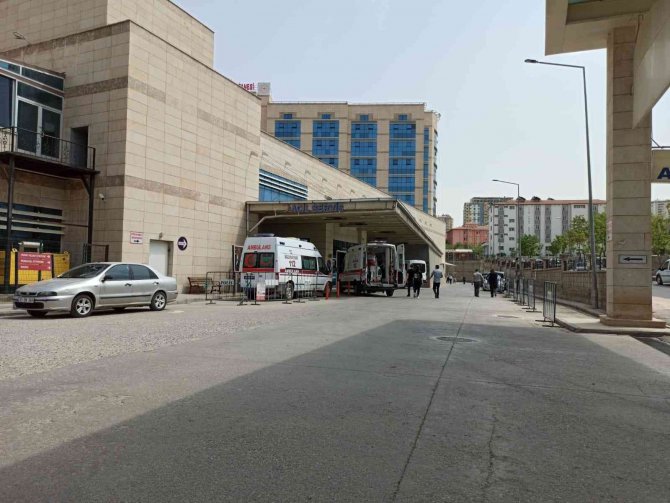 Yılanın soktuğu çocuk hastaneye kaldırıldı